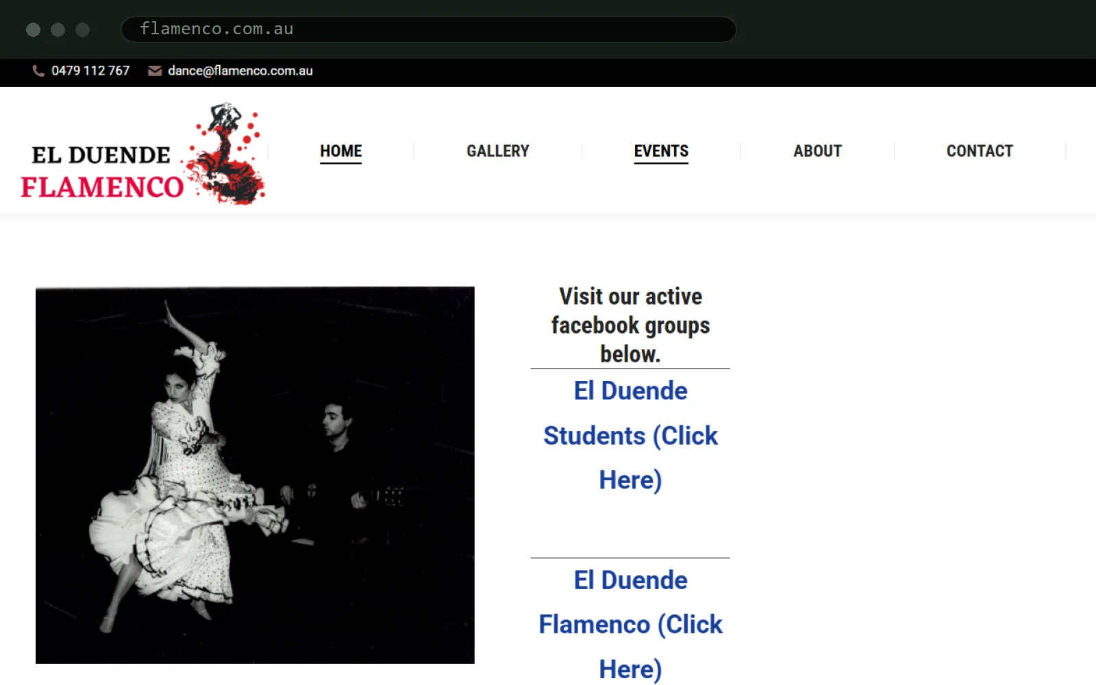 El Duende Flamenco project cover