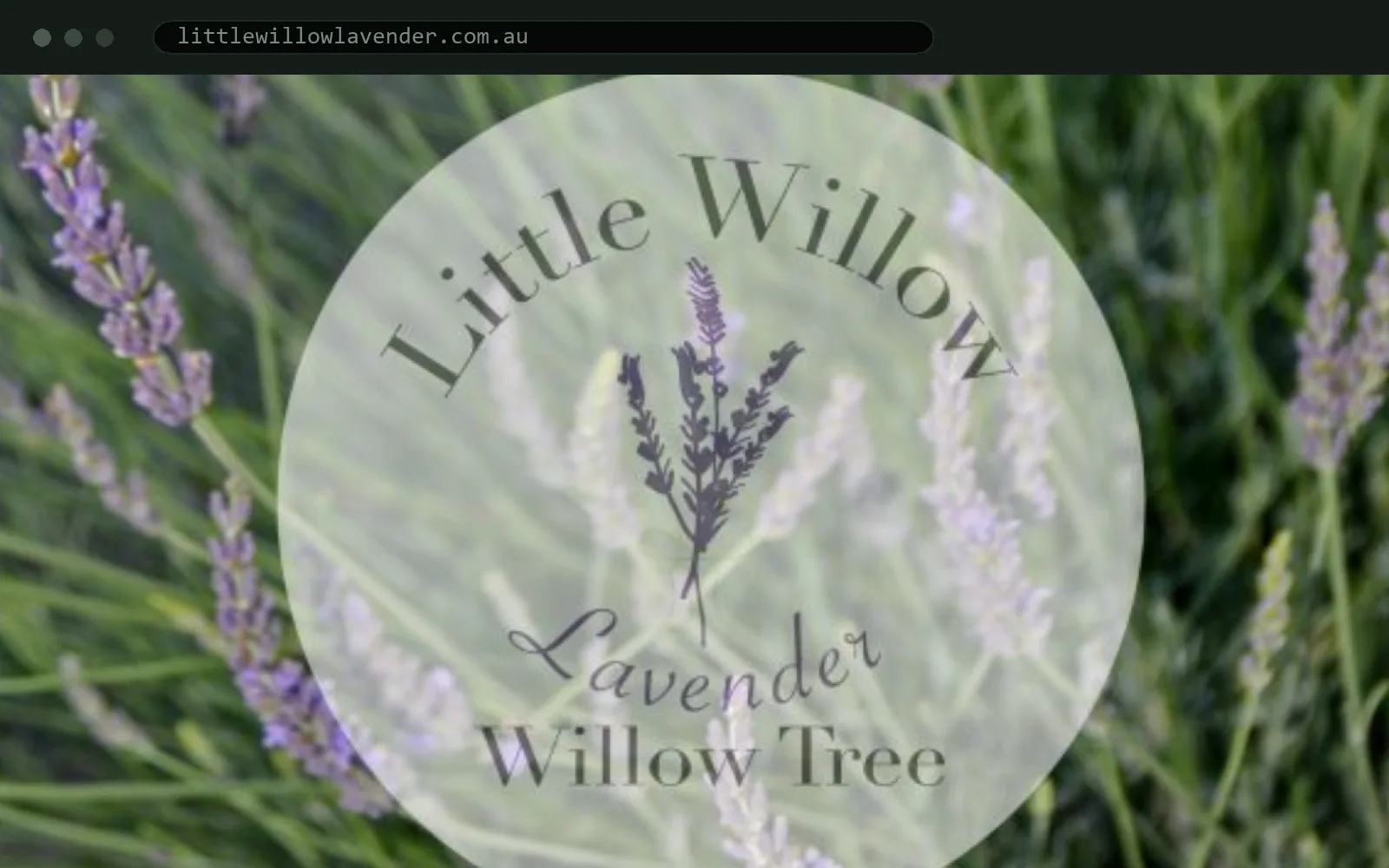 Little Willow Lavender project cover